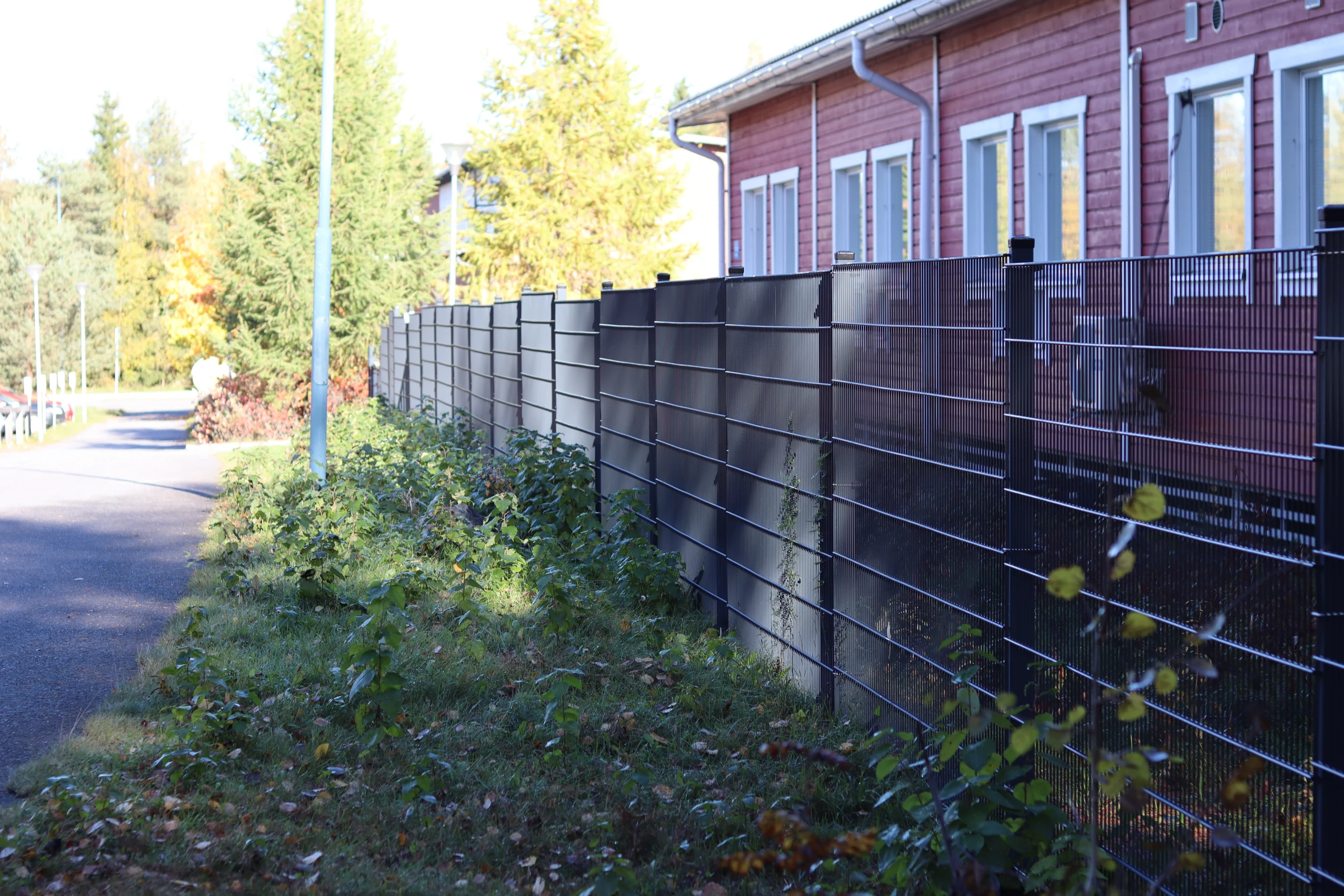 IMG_2402 nätstängsel